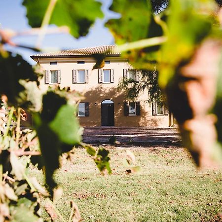 Agriturismo Vitae Fabbrico Екстер'єр фото