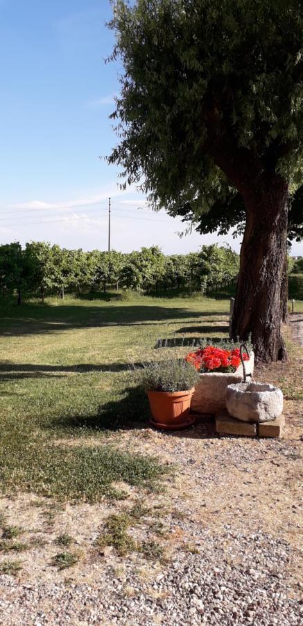 Agriturismo Vitae Fabbrico Екстер'єр фото