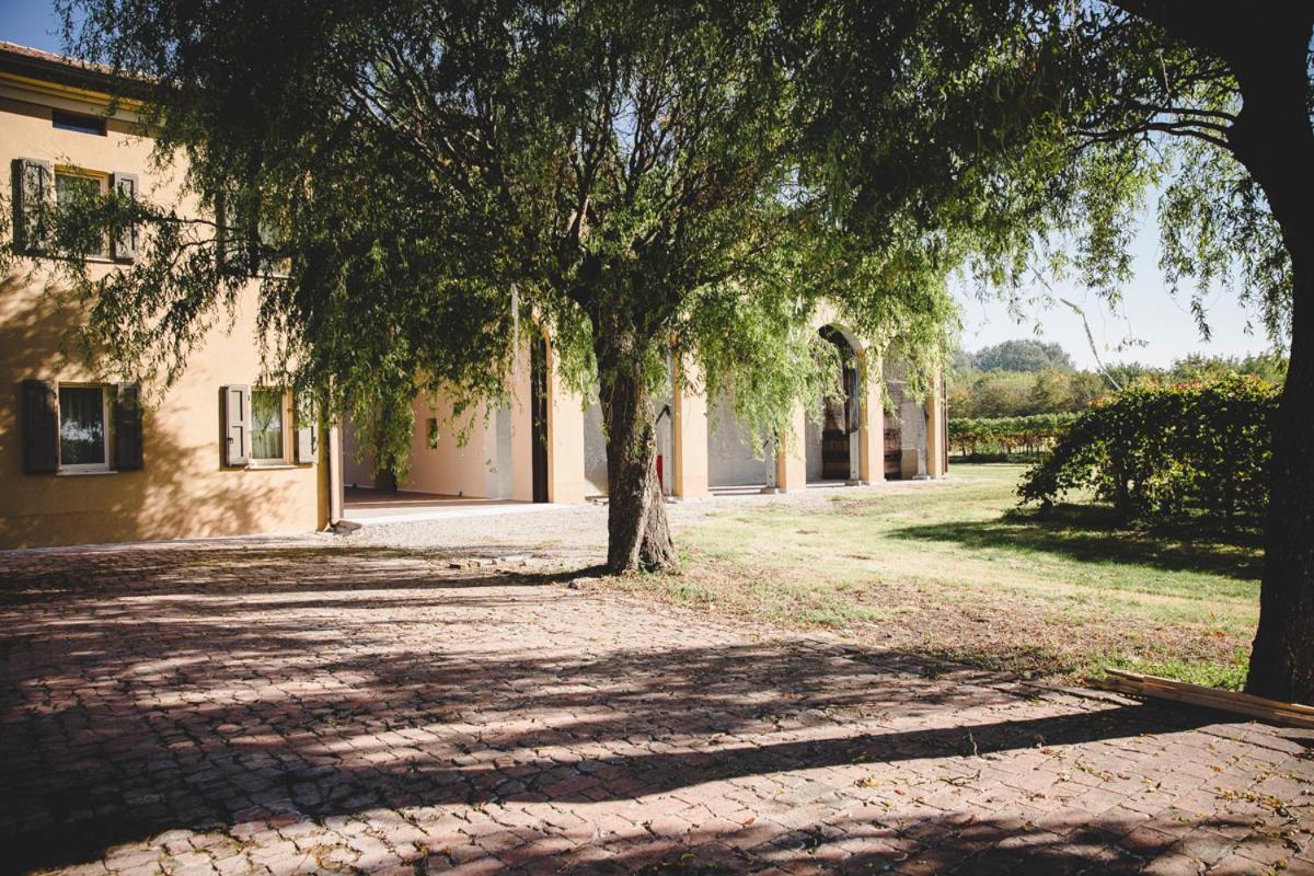 Agriturismo Vitae Fabbrico Екстер'єр фото