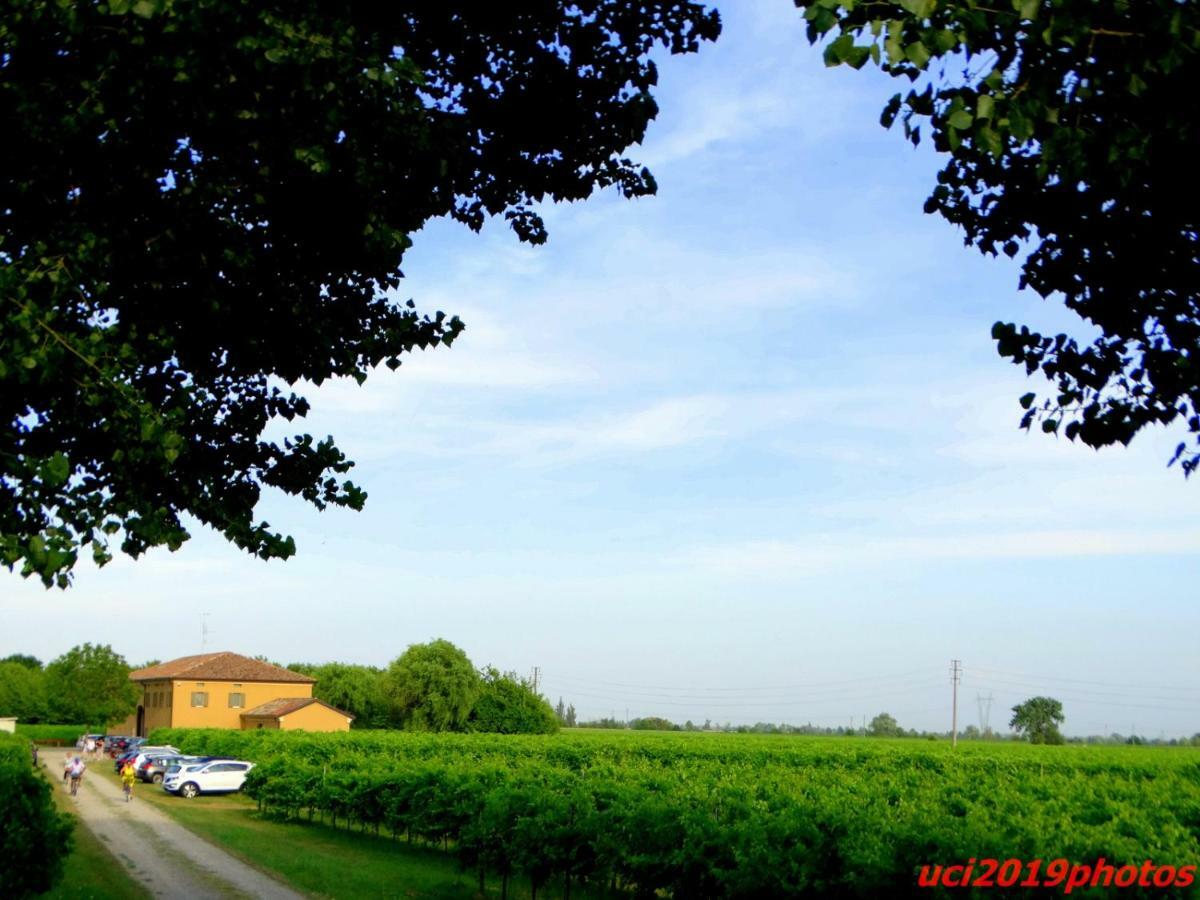 Вілла Agriturismo Vitae Fabbrico Екстер'єр фото